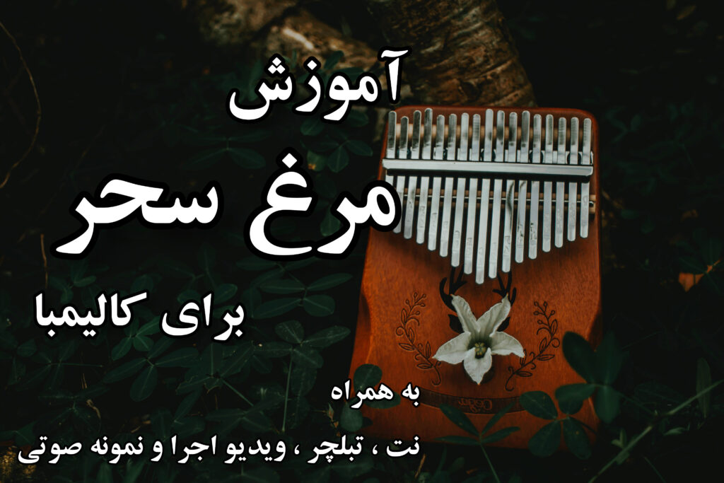 آموزش مرغ سحر برای کالیمبا